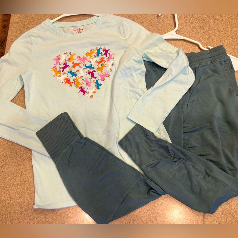 Cat & Jack + All in Motion Aqua Horse stop, Sage Green Pants